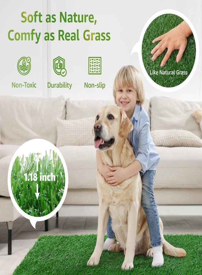 LOOBANI Dog Grass Pee Pads, Artificial Dog Grass Pads for Potty Tray, Fake Grass for Dogs to Pee On, Outdoor Indoor Pee Grass for Dog Potty (18*28 inch) - Image 4