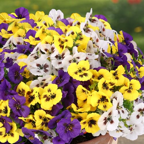 CEWOR 12 Bundles Artificial Flowers for Outdoor Indoor, Fake Silk Pansy with Eucalyptus Leaves, Faux Flower for Garden Front Door Porch Planter Patio Home Decor (Yellow White Purple) - Image 4