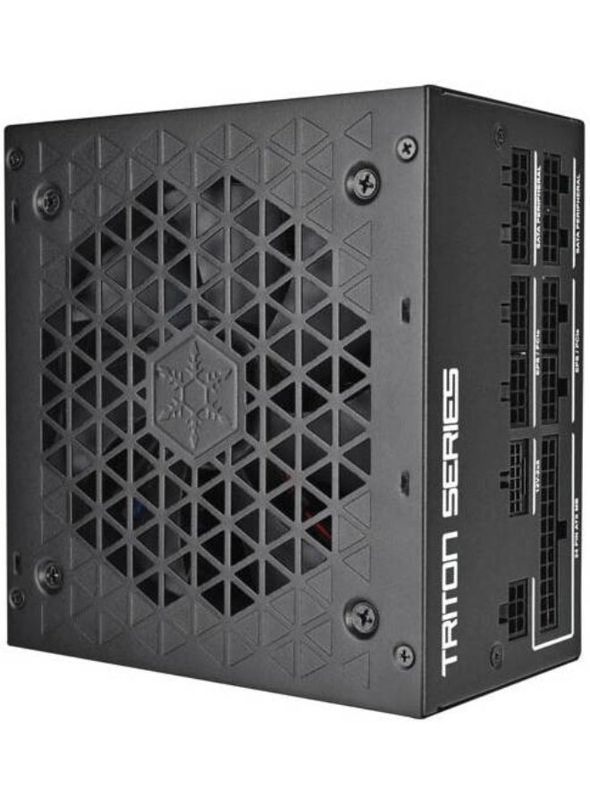 SilverStone Triton TR1000R-GM 1000W Fully Modular ATX Power Supply, Cybenetics Gold Certified, PCIe Gen5 12V-2x6, Single +12V Rail 83.3A, 120mm FDB Fan, Japanese Capacitors, Active PFC, Black | SST-TR1000R-GM - Image 3