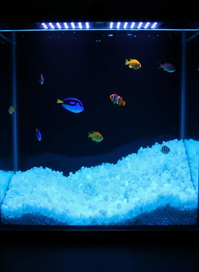 Shiny Stone Glow in The Dark Aquarium Neon Gravel Sand, Decorative Rocks for Fish Tank and Fairy Garden, Home Dec,305g/0.67lbs (Sky Blue, 5-8mm) - Image 5
