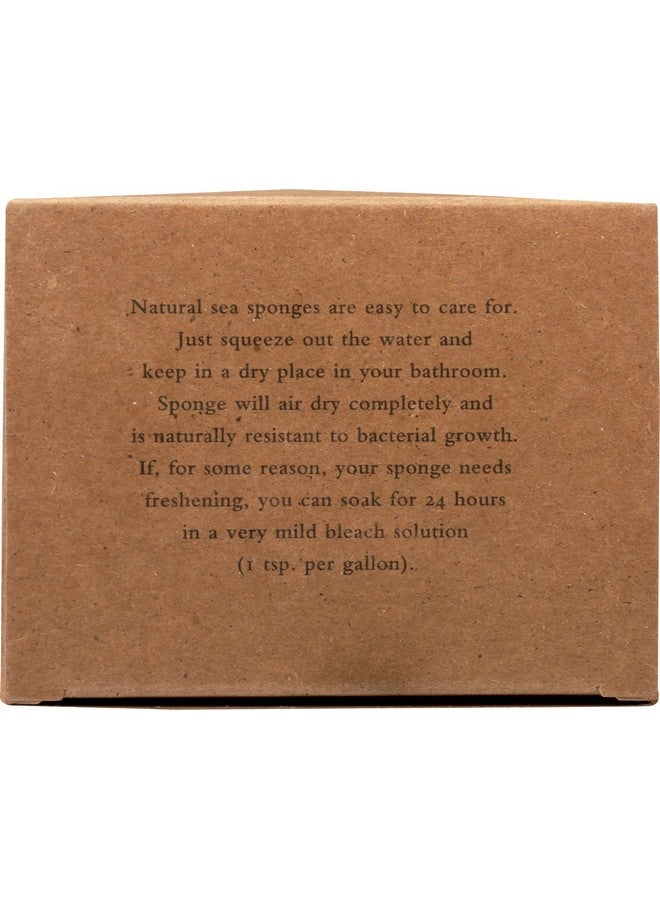 Baudelaire Sea Sponge Caribbean Wool 4.5 In 1 Count - Image 3