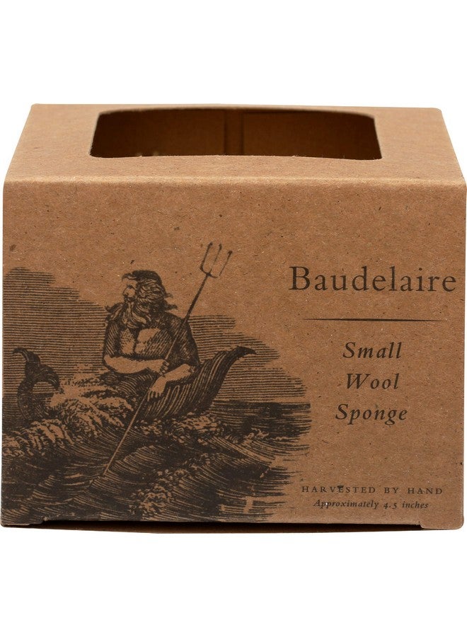 Baudelaire Sea Sponge Caribbean Wool 4.5 In 1 Count - Image 2