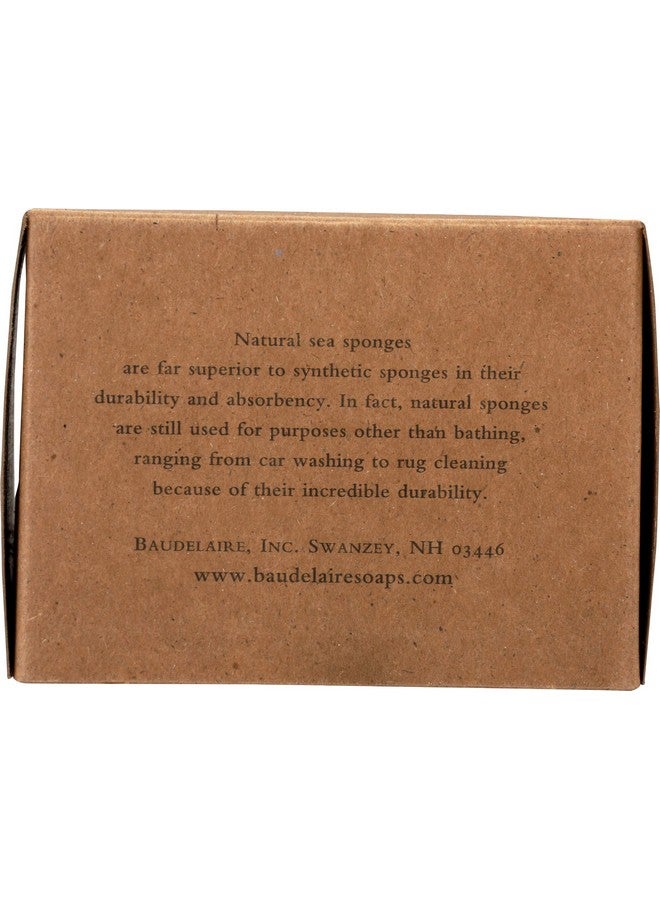 Baudelaire Sea Sponge Caribbean Wool 4.5 In 1 Count - Image 5