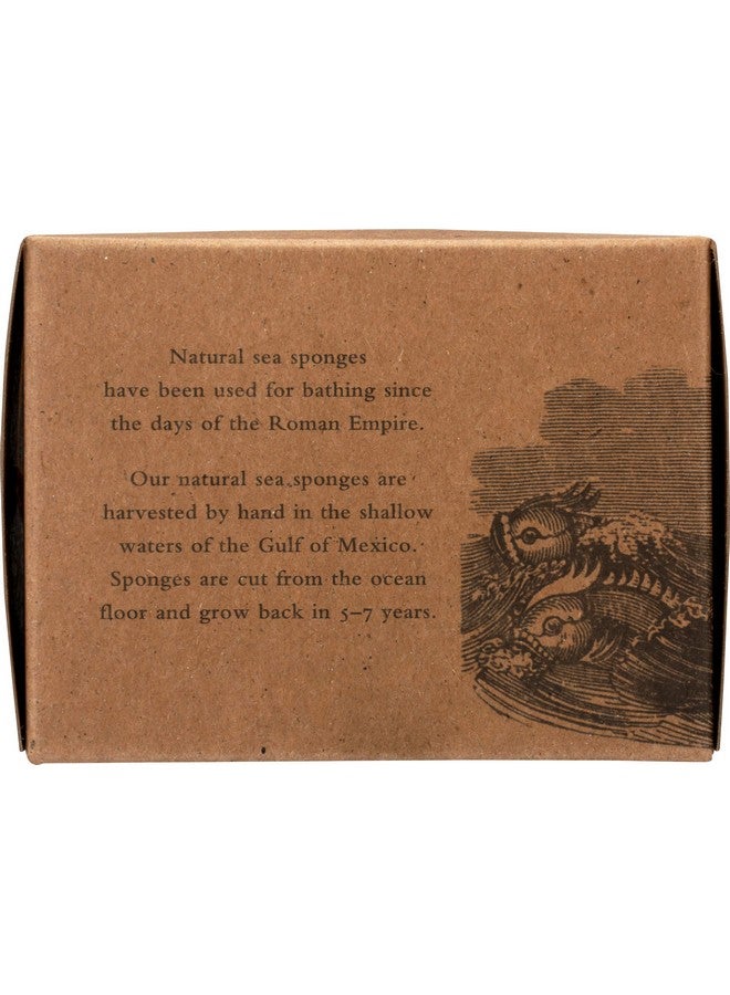 Baudelaire Sea Sponge Caribbean Wool 4.5 In 1 Count - Image 4