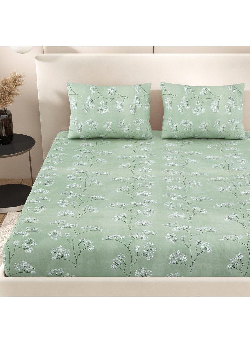 Jaipur Weaves Jaipur Weaves Bedsheet Queen Size 100 Pure Cotton Bed Sheet with 2 Pillow Covers Super Soft Cozy Bedsheets Set90x100 inches Green Queen  - Image 2