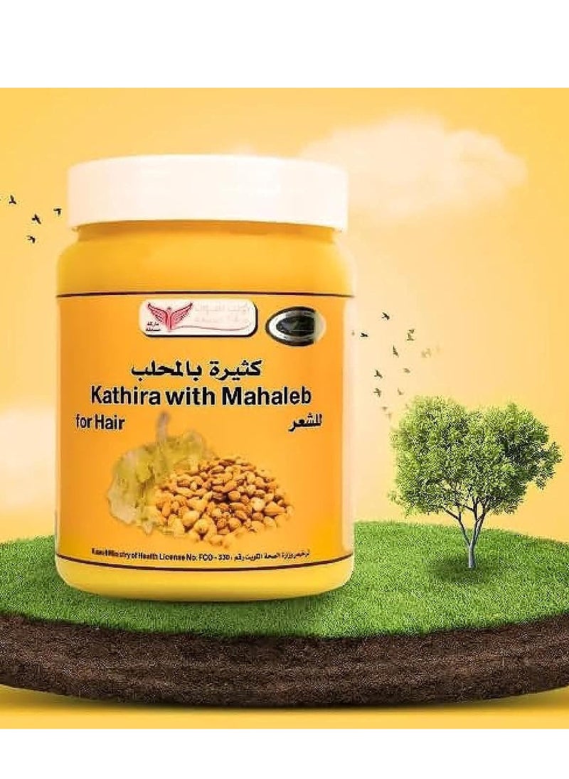 Kathira with Mahleb for hair 500 g - pzsku/Z5F39D1A4F4CF0ED3B52AZ/45/_/1715690702/4968dd5a-3877-461a-b753-afc4fb15692d