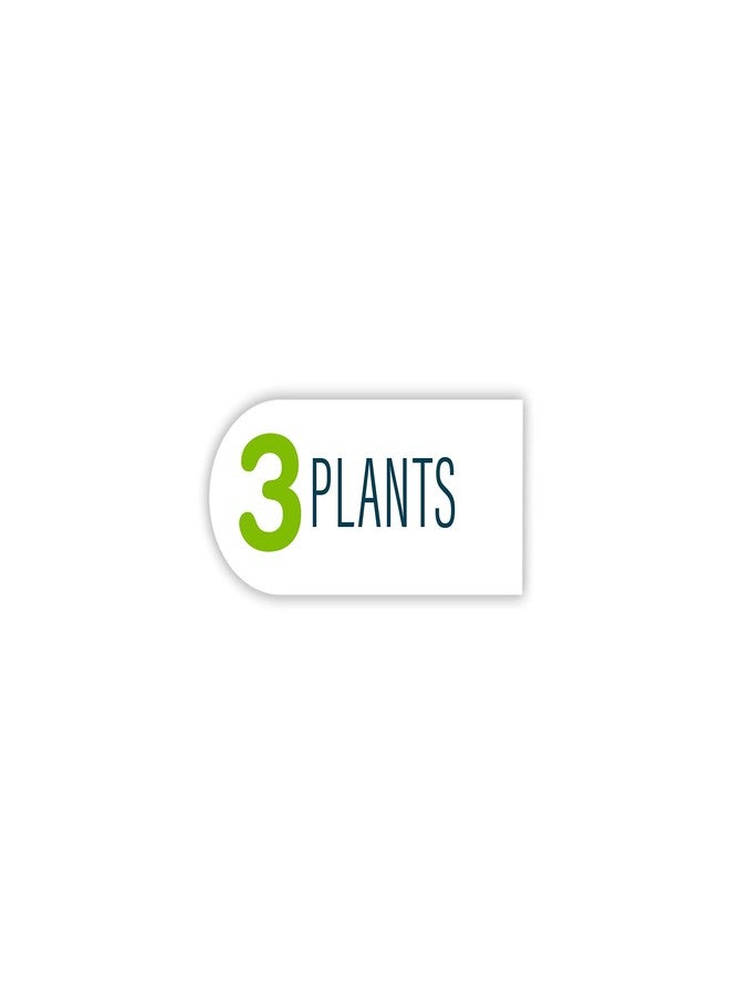 GloFish Fluorescent Plant Multipack 3 Count, Contains Medium Yellow, Large Orange, Large Blue Artificial Aquarium Plants - Image 5