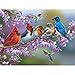 Bits and Pieces 500 Piece Jigsaw Puzzle for Adults Birds On A Flowering Branch Cardinals Bluebird Hummingbird Flowers Jigsaw Puzzle by Artist Oleg Gavrilov Completed Puzzle Size 18 x 24 - Image 2