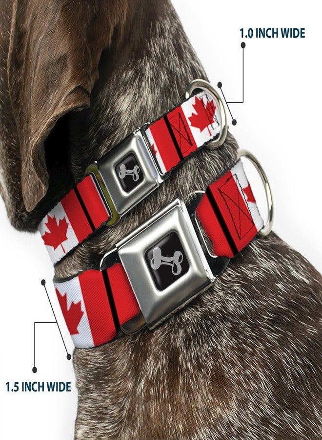 Buckle Down Buckle-Down Seatbelt Buckle Dog Collar - Canada Flags - 1" Wide - Fits 9-15" Neck - Small - Image 2