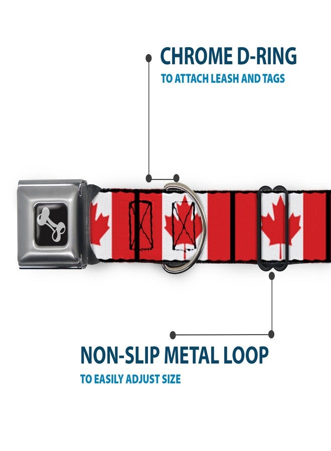 Buckle Down Buckle-Down Seatbelt Buckle Dog Collar - Canada Flags - 1" Wide - Fits 9-15" Neck - Small - Image 5