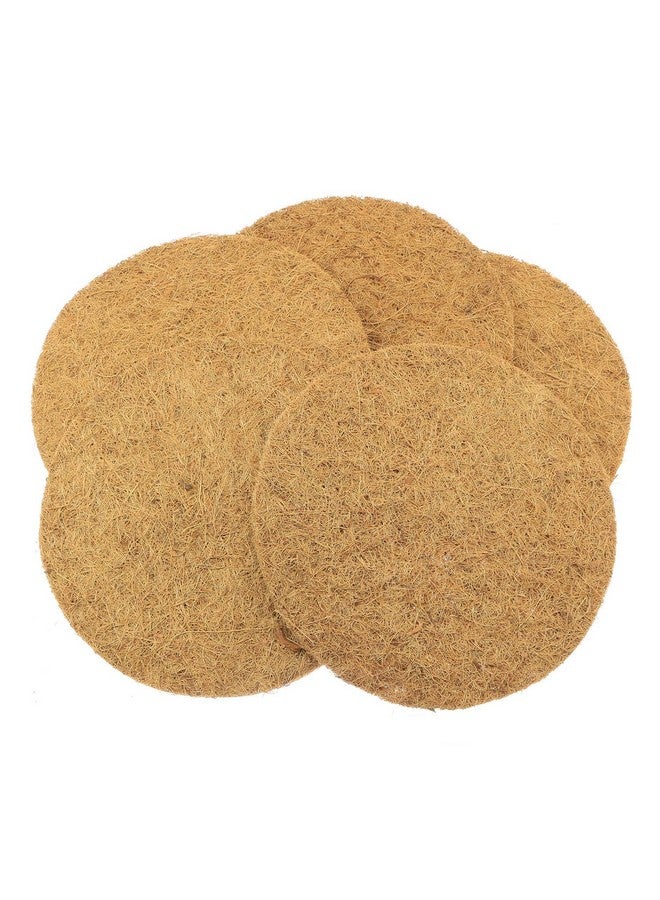 ماكسمورال بساط عش بيض الحمام من ماكسمورال، 5 قطع، قابل للتهوية ومقاوم للرطوبة، بساط عش بيض سباق الحمام لدجاج الحسون - Image 2