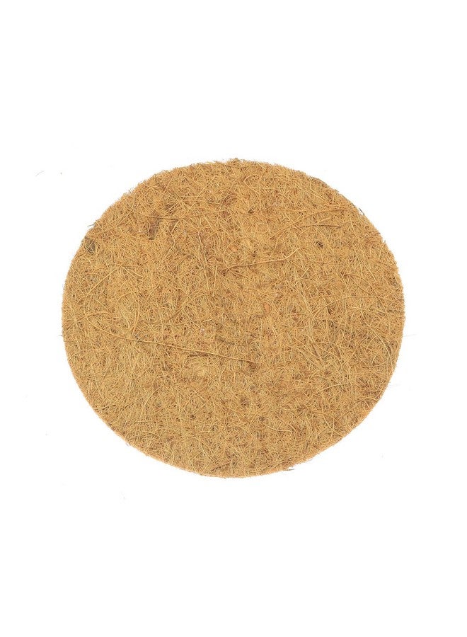 ماكسمورال بساط عش بيض الحمام من ماكسمورال، 5 قطع، قابل للتهوية ومقاوم للرطوبة، بساط عش بيض سباق الحمام لدجاج الحسون - Image 4