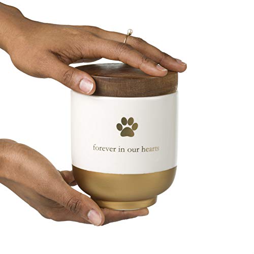 Pearhead Pet Ceramic Forever in Our Hearts Urn, Pet Memorial, Dog Or Cat Keepsake Urn, Rainbow Bridge, Gold - Image 2