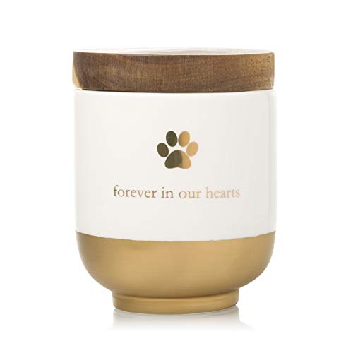 Pearhead Pet Ceramic Forever in Our Hearts Urn, Pet Memorial, Dog Or Cat Keepsake Urn, Rainbow Bridge, Gold - Image 1