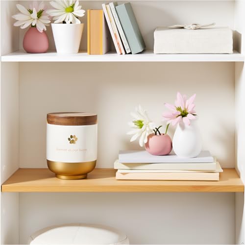 Pearhead Pet Ceramic Forever in Our Hearts Urn, Pet Memorial, Dog Or Cat Keepsake Urn, Rainbow Bridge, Gold - Image 5