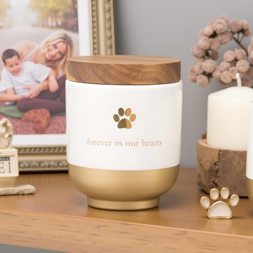 Pearhead Pet Ceramic Forever in Our Hearts Urn, Pet Memorial, Dog Or Cat Keepsake Urn, Rainbow Bridge, Gold - Image 4