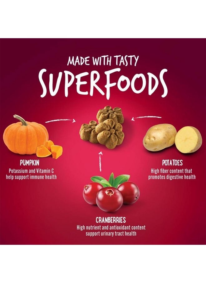 Fruitables - Fruitables Pumpkin & Cranberry Dog Treat - Image 1
