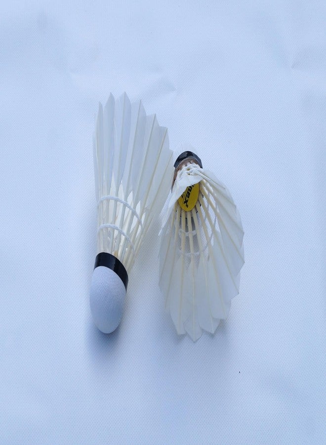 Vinex Badminton Duck Feather Shuttlecock - Pacer, 1 Pack of 12 Pcs, Suitable for Indoor-Outdoor Practice and Training | Badminton Shuttlecocks - Image 4