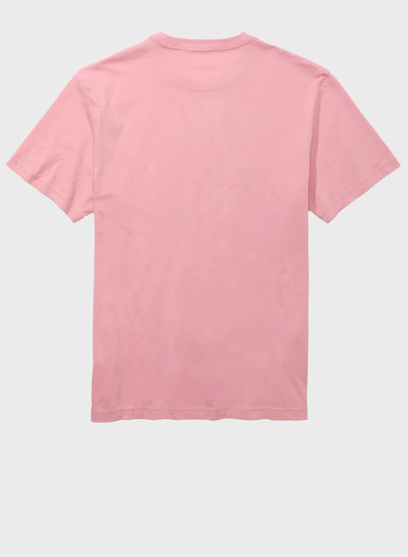 American Eagle Graphic Crew Neck T-Shirt