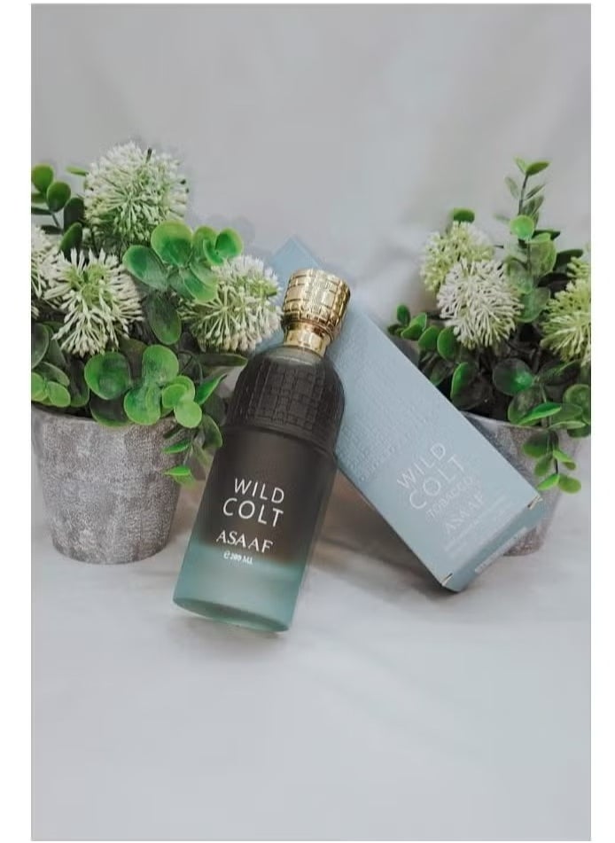 ASAAF Wild Colt  Assaf Perfume 200ml 
