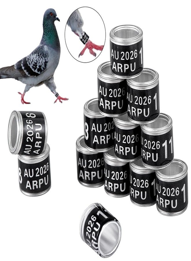 FULAIERGD 100Pcs Aluminium Pigeon Leg Rings Dove Leg Rings Identify Pigeon Bands with 2026 ARPU Training Identify Birds Foot Ring (Black) - Image 4