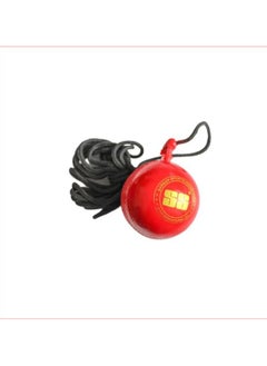 SS Hanging Ball 