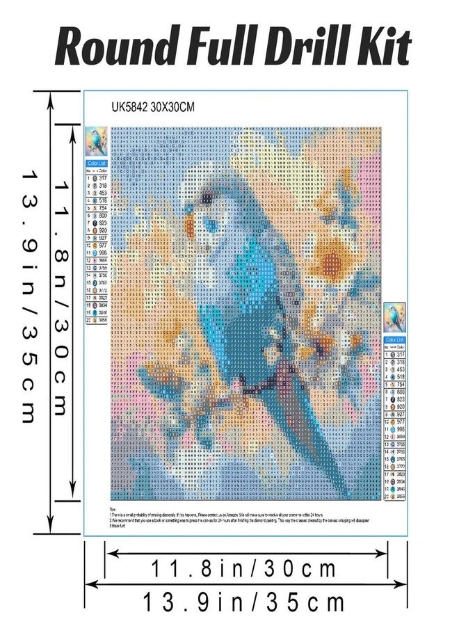 Hestarcul DIY Bird Diamond Art Kits for Adults,5D Diamond Painting Kit for Beginner,Full Round Gem Art Paint by Diamond for Home Wall Decor,Gift for Adult. - Image 4