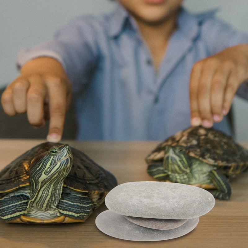 3pcs Turtle Basking Stones Turtle Stone Decoration Tortoises Stone Platform Reptile Habitat Stones Random Color - Image 5