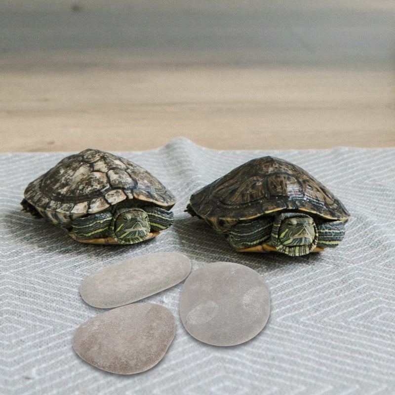 3pcs Turtle Basking Stones Turtle Stone Decoration Tortoises Stone Platform Reptile Habitat Stones Random Color - Image 2
