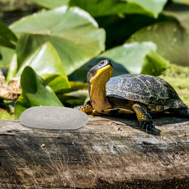 3pcs Turtle Basking Stones Turtle Stone Decoration Tortoises Stone Platform Reptile Habitat Stones Random Color - Image 3
