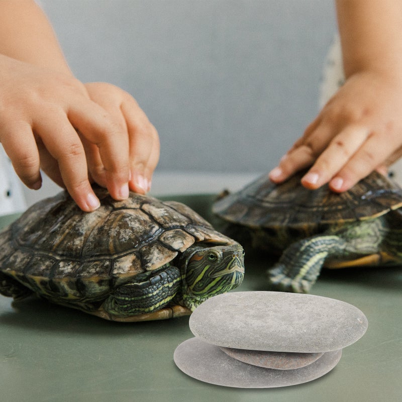3pcs Turtle Basking Stones Turtle Stone Decoration Tortoises Stone Platform Reptile Habitat Stones Random Color - Image 4