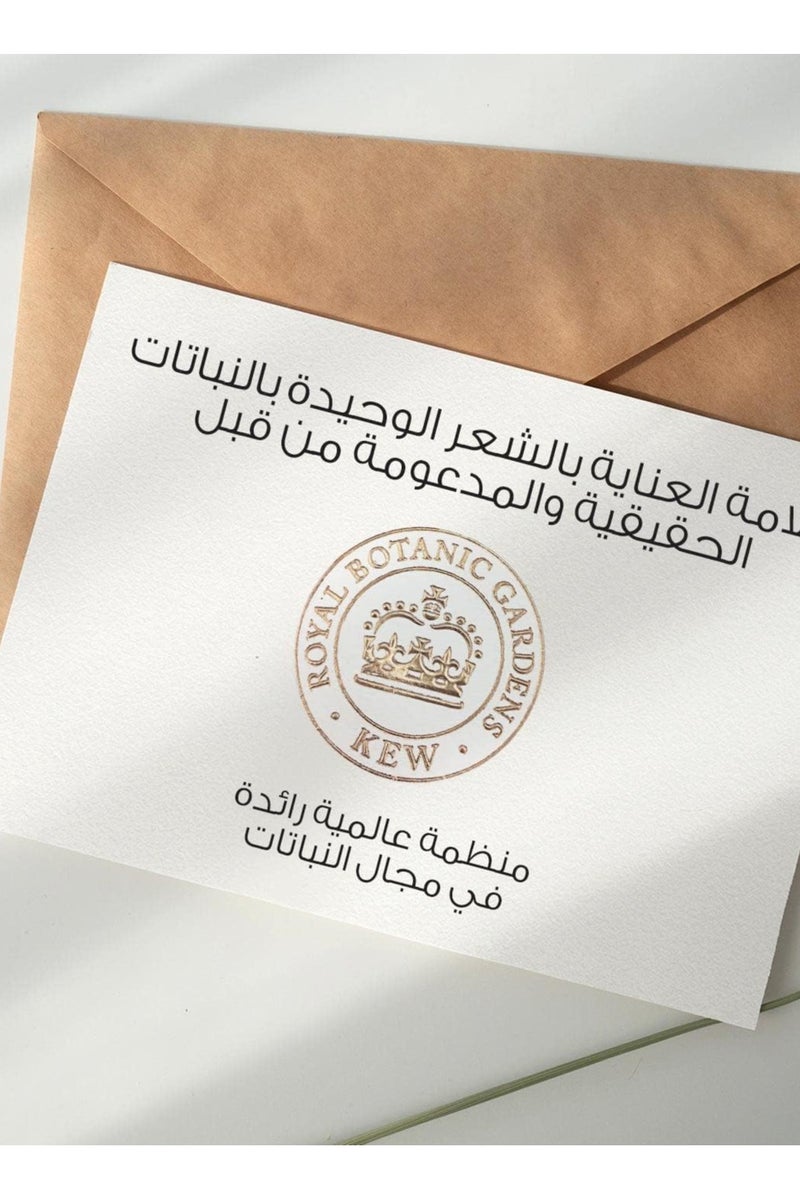 Herbal Essences Hydrate Coconut Shampoo 400ml - Image 3