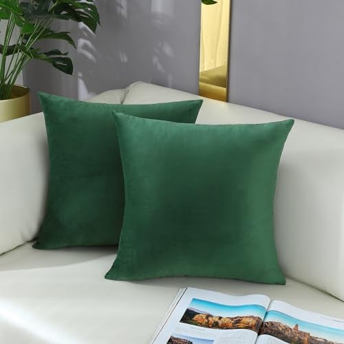 mixeoo Comfy Hunter Green Throw Pillow Covers Decorative Square Solid Thick Velvet Super Soft Cushion Cases Home Decor for Sofa Couch, Set of 2, 18 x 18 Inch - Image 2