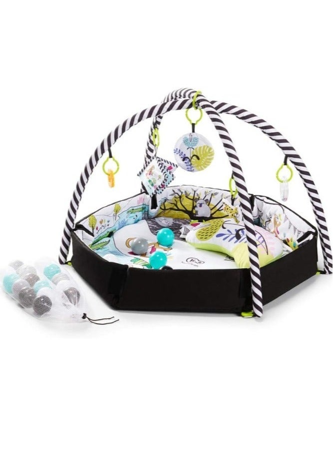 2-in-1 Baby Playmat & Playpen | Educational & Safe | Newborn & Up | Includes Foam Play Arch & Colorful Balls - Image 1