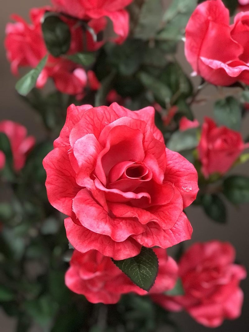 AMERIQUE AMERIQUE Pair Gorgeous  Unique 4 Feet Red Roses with Leaves Artificial Tree Silk Plant PrePotted with Nursery Pot Feel Real Tech  - Image 3