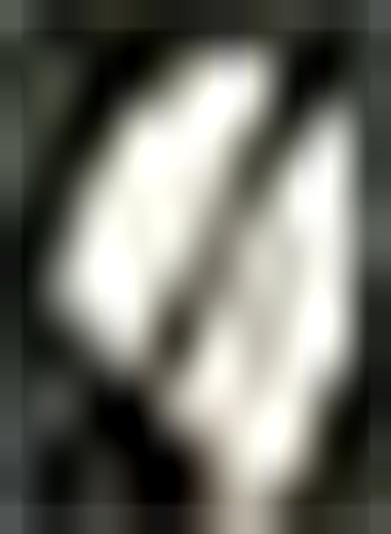 جي جوت 30 قطعة من أكثر مرارًا لتجهيزات الحدائق Jährliches Erbstücgemüse Niedrige Kosten Leicht zu pflegende Terrasse Gartenterrassenbepflanzung Bringen Sie das Gefühl der Leistung - Image 3