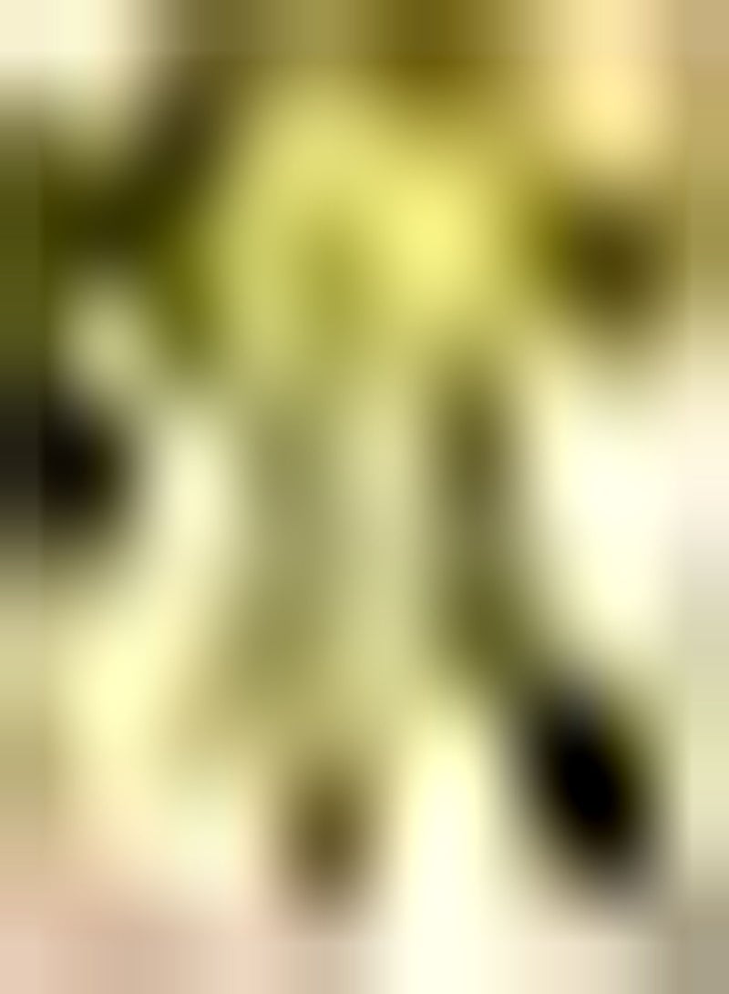 جي جوت 30 قطعة من أكثر مرارًا لتجهيزات الحدائق Jährliches Erbstücgemüse Niedrige Kosten Leicht zu pflegende Terrasse Gartenterrassenbepflanzung Bringen Sie das Gefühl der Leistung - Image 1