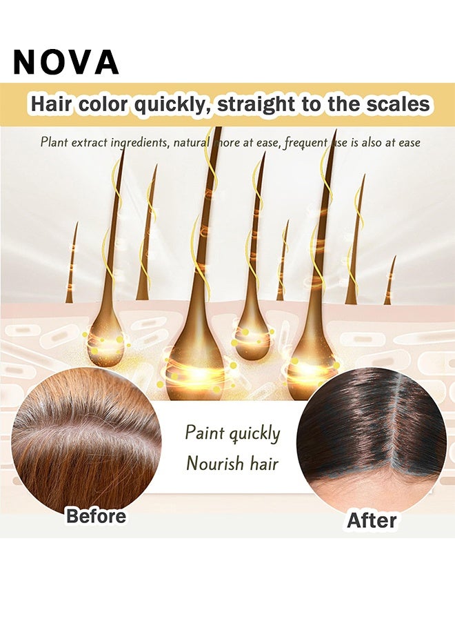 نوفا شامبو صبغة الشعر السوداء، شامبو صبغة الشعر الفورية نوفا، شامبو صبغة الشعر الأسود نوفا 3 في 1، شامبو تلوين الشعر بالأعشاب لتغطية الشعر الرمادي، للرجال والنساء (أسود) - Image 5
