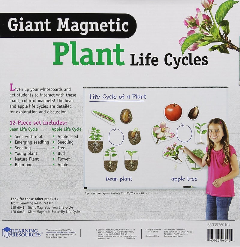 Learning Resources Giant Magnetic Plant Life Cycle - 12 Pieces, Science Exploration Activities for Kids, Homeschool and Classroom Science Supplies - Image 2