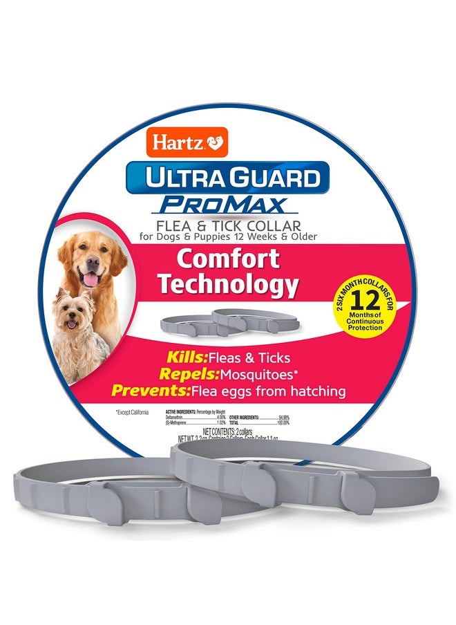 هارتز طوق Ultraguard Promax لمكافحة البراغيث والقراد للكلاب، حماية لمدة 12 شهرًا، ناعم ومريح، للوقاية من البراغيث والقراد، عبوة من قطعتين، رمادي  - Image 1