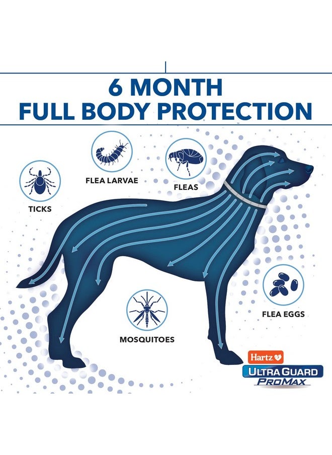 هارتز طوق Ultraguard Promax لمكافحة البراغيث والقراد للكلاب، حماية لمدة 12 شهرًا، ناعم ومريح، للوقاية من البراغيث والقراد، عبوة من قطعتين، رمادي  - Image 3