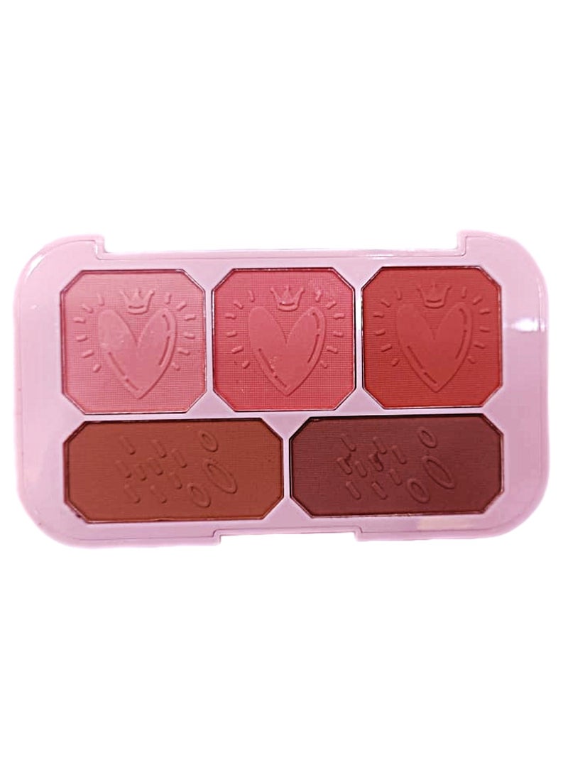 Sevencool Professional 5-in-1 Blusher Palette – Blush, Highlighter, Contour & Eyeshadow for All Skin Tones - Image 2