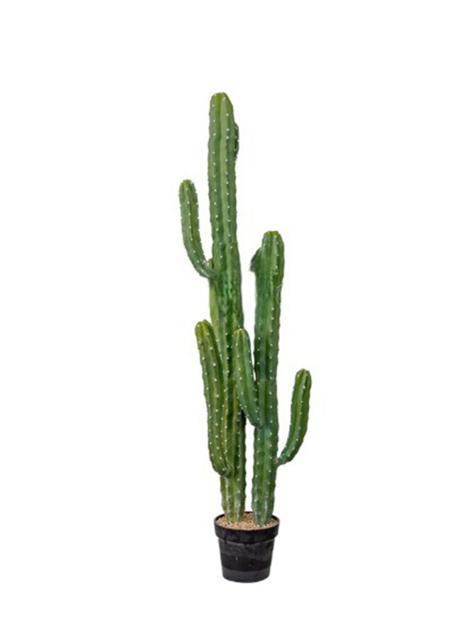 HRT WALL Real Touch Cactus Cereus Jamakaru 143cm - green 