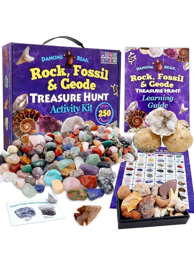 DANCING BEAR Rock, Mineral & Geodes Treasure Hunt Activity Kit (200 Pc Set) Real Shark Teeth Fossils, ID Sheet & Rock Book, STEM - Image 1