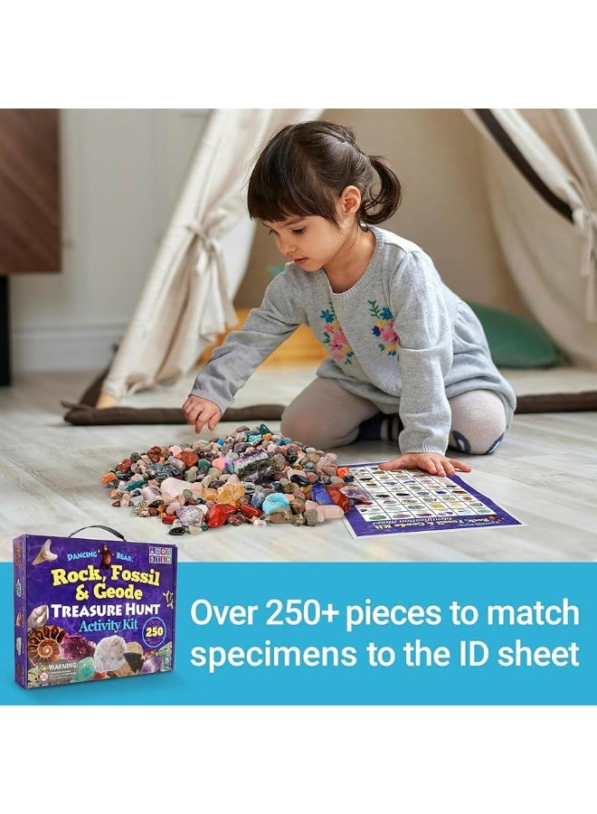 DANCING BEAR Rock, Mineral & Geodes Treasure Hunt Activity Kit (200 Pc Set) Real Shark Teeth Fossils, ID Sheet & Rock Book, STEM - Image 4