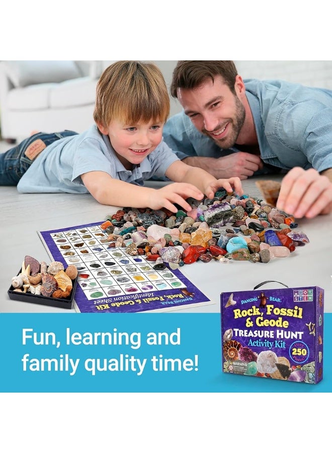 DANCING BEAR Rock, Mineral & Geodes Treasure Hunt Activity Kit (200 Pc Set) Real Shark Teeth Fossils, ID Sheet & Rock Book, STEM - Image 5