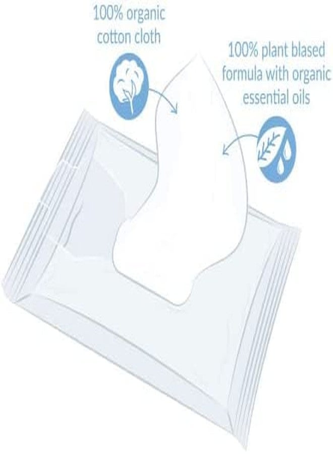 Natracare Organic Cotton Baby Wipes 50 ct (12-Pack) - Image 3