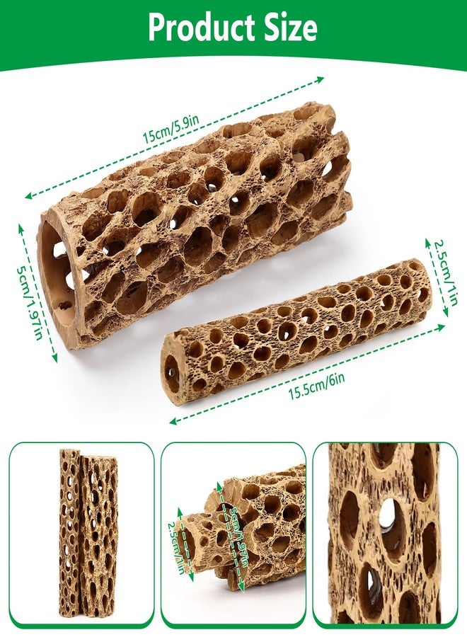 Hygger CO2 6“ Resin Cholla Wood Aquarium Décor Wood- Realistic Shrimp Hideout & Climbing Toy (6" L×2”Dia, 2pcs) - Image 4