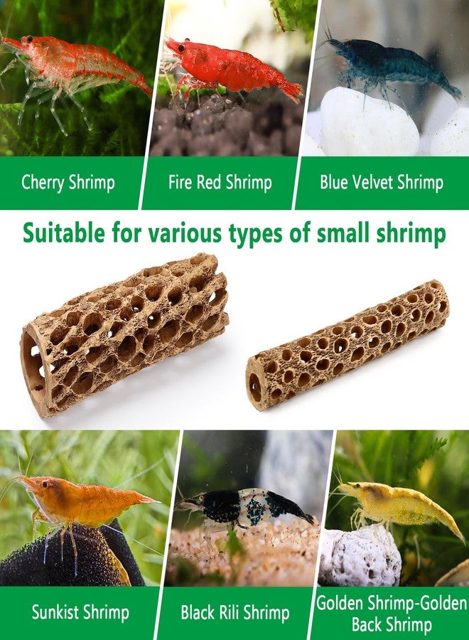 Hygger CO2 6“ Resin Cholla Wood Aquarium Décor Wood- Realistic Shrimp Hideout & Climbing Toy (6" L×2”Dia, 2pcs) - Image 5