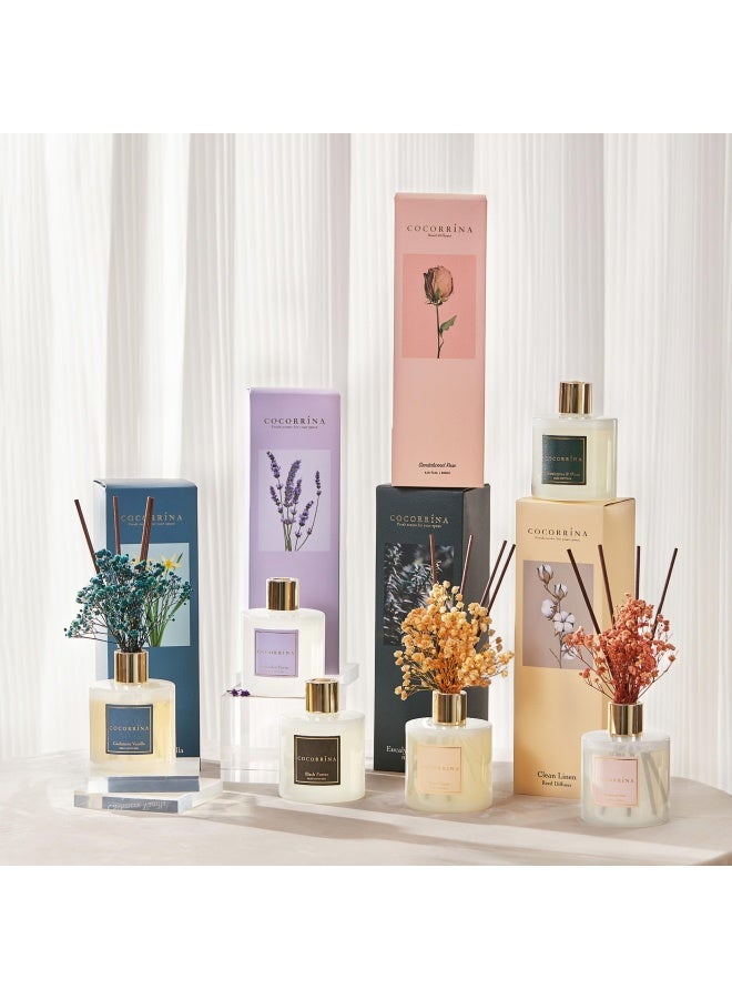COCORRÃNA Cocorrna Premium Reed Diffuser Set with Preserved Babys Breath  Cotton Stick Cashmere Vanilla  67oz Scent Fragrance Oil Diffuser for Bedroom Bathroom Home Dcor - Image 4